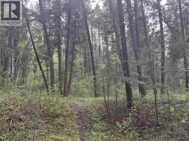 550 DOG CREEK ROAD Williams Lake, British Columbia in Land for Sale in Williams Lake - Image 10