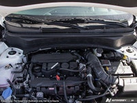 Come visit our London Kia team, you can find us at 1135 Wharncliffe Rd S, London, ON N6L 1J9, or cal... (image 5)