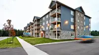 Moncton 1 Bedroom Apartment for Rent: