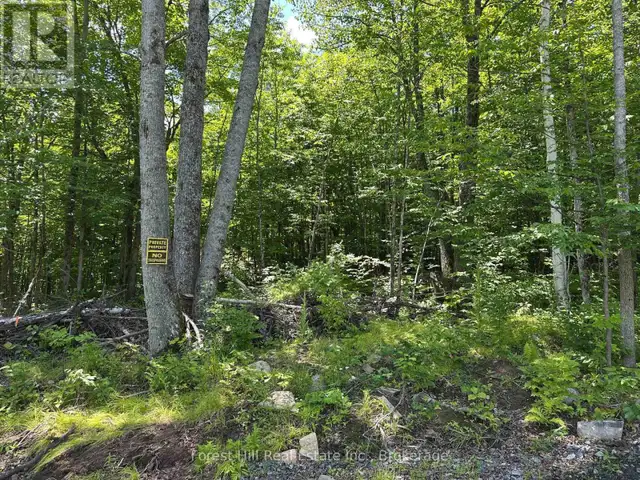 0-3 JACKS LAKE Parry Sound Remote Area (Golden Valley), Ontario63007359924353121