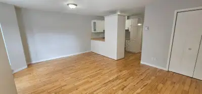 Beau 4 1/2 bien éclairé situé sur la rue Laviolette, au centre-ville. Magnifiques planchers de bois...