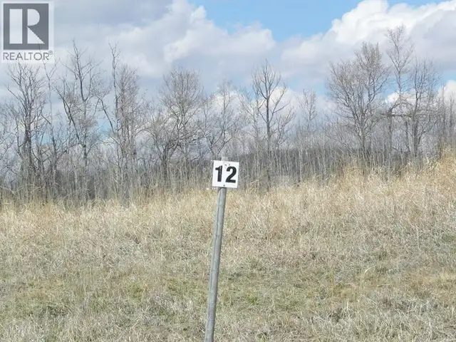 12, 420069 Range Road 284 Rural Ponoka County, Alberta in Land for Sale in Red Deer - Image 3