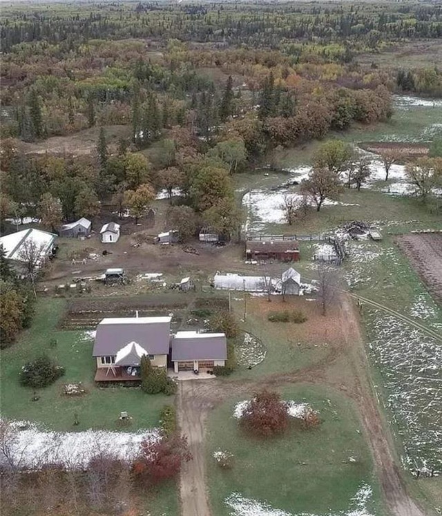 63159 RD 50N Lady Smith Road Holland, Manitoba Houses for Sale