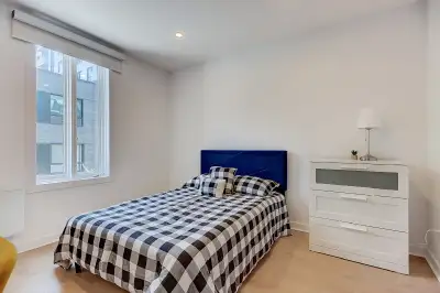 Confortable Studio - 1 ½ Nice Apartment - metro Berri-UQAM