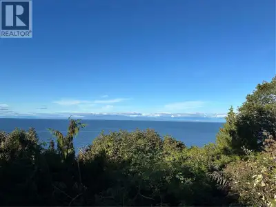 Eureka! You have found it. Looking for a large high bank waterfront lot in a prestigious neighborhoo...