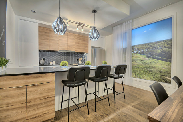 1451 chemin Gascon, Spacious 2-Bedroom Apartment for Rent dans Locations longue durée  à Laval/Rive Nord - Image 3