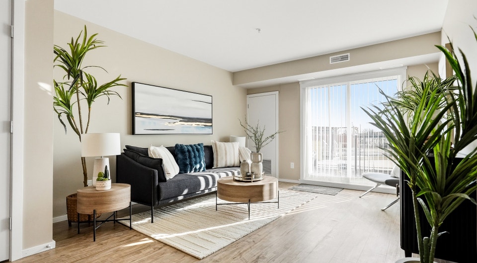 Pet-Friendly Two Bedroom Two Bath with In-suite Laundry for Rent 5