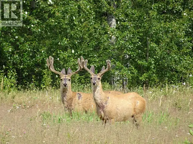 DL5277 DAY ROAD Horsefly, British Columbia in Land for Sale in Williams Lake - Image 18
