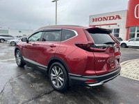 Command the road in the breathtaking Radiant Red Metallic 2021 Honda CR-V Touring, a sophisticated s... (image 6)
