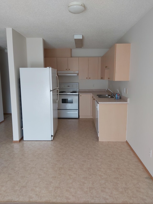 1 Bed x 1 Bath Apartment for Rent on Inglewood Drive 1050 Long Term Rentals Edmonton Kijiji