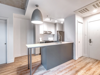 Studio 2.5 2 1/2 3-rental apartment for rent-logement locatif-Saint-Henri-Griffintown-Sud-Ouest-Sout...