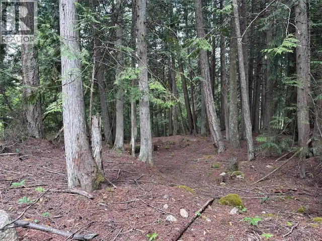 611 Slocan Street Slocan, British Columbia in Land for Sale in Nelson - Image 15