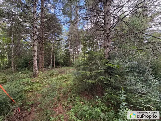 $110,000 - Price taxes not included - Residential Lot for sale in Land for Sale in Laurentides - Image 5