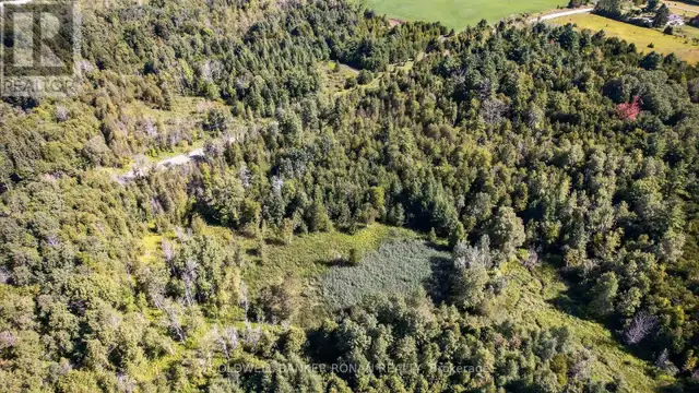 8155 19TH SIDE ROAD King (Schomberg), Ontario in Land for Sale in Barrie - Image 11