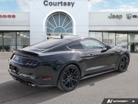 Feel the undeniable thrill of pure American muscle with this stunning 2022 Ford Mustang GT Premium!... (image 5)