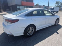 All vehicles come with a full vehicle History Report, ask to see it! 2019 Hyundai Sonata spacious in... (image 3)