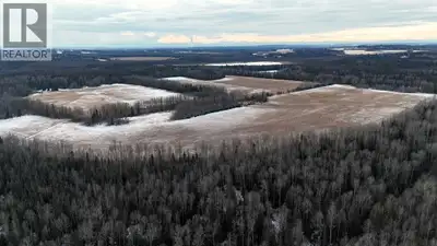 Quarter section of good farming land, mostly cleared, currently used for hay land. Has government ro...