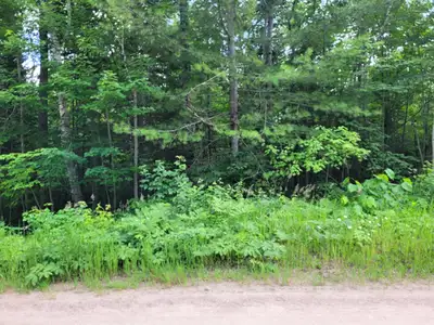 2.02 ACRES BUILDING LOT ON SHIELD POINT ROAD RD. JUST OFF PINE LAKE RD. DRIVEWAY ACCESS TO PROPERTY....
