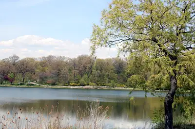 3 Bdm. Townhouse for Rent in Mississauga's Meadowvale!, View more