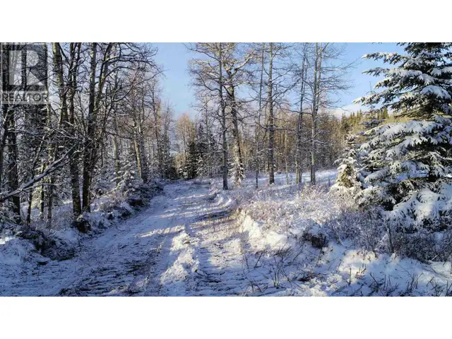 FRAC N1/2 DL 2557 BINTA ROAD Burns Lake, British Columbia in Land for Sale in Burns Lake - Image 18