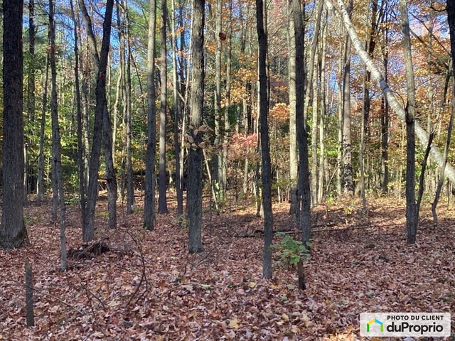 $539,000 - Wood Lot for sale in St-Lin-Laurentides — photo 3