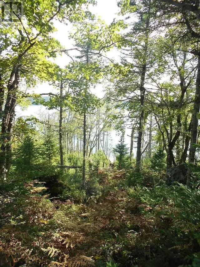 Lot 2 Shad Bay, Lot 2 Grant 1033 NorthwestHead Shad Bay, Nova Sc in Land for Sale in City of Halifax - Image 17