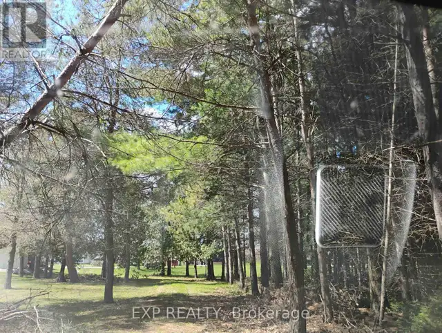 2825 PERRY AVENUE Ramara (Brechin), Ontario in Land for Sale in Barrie - Image 5