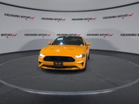// ACCIDENT FREE!! // Turn every drive into an event in this used 2019 Ford Mustang EcoBoost Fastbac... (image 2)