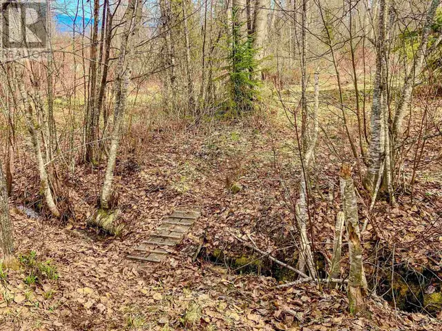 3355 BOYLE ROAD Smithers, British Columbia in Houses for Sale in Smithers - Image 38