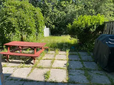 ONE BEDROOM WALKOUT BASEMENT IN SCARBOROUGH UTILITIES INCLUDED