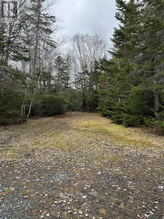 3410 Old Guysborough Road Devon, Nova Scotia in Land for Sale in City of Halifax - Image 3