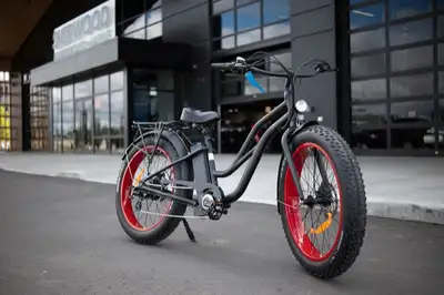 SNOW & SAND CRUISERS ST! This Vamoose Cruiser is centered on comfort. With an upright seating positi...