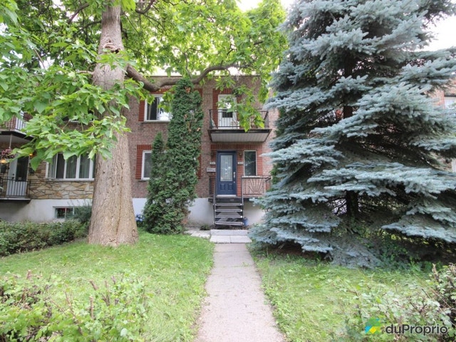 1er Avenue — photo 1