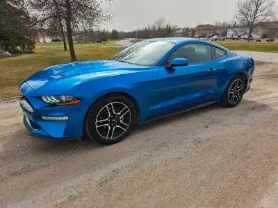 2019 Ford Mustang EcoBoost 18" Wheels 10 Speed Automatic