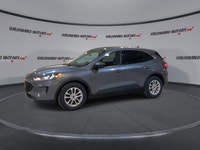 // ACCIDENT FREE!! // Meet the 2022 Ford Escape SE FWD, a smart, practical SUV that fits life in Cay... (image 3)