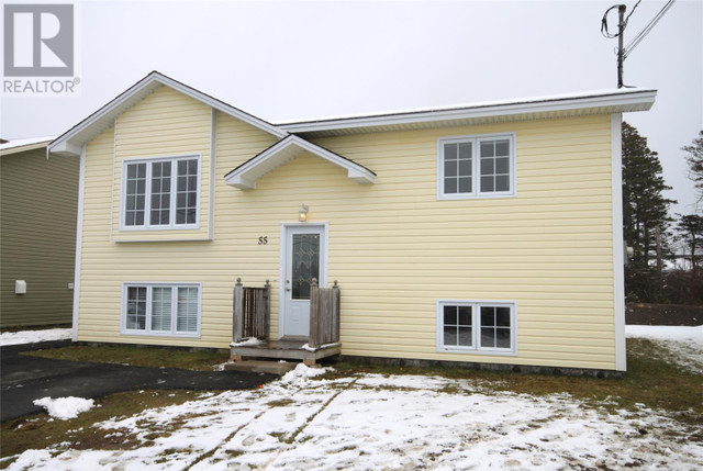 55 Dunn's Hill Road Conception Bay South, Newfoundland & Labrado in Houses for Sale in St. John's