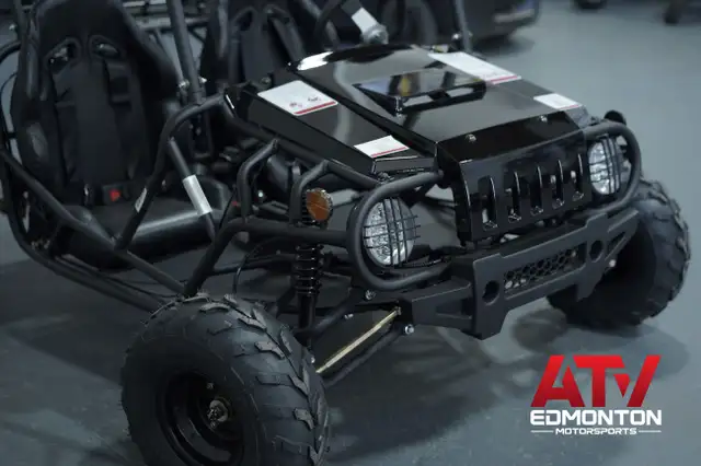 2022 Gio GT125 BUGGY Brand New! For Kids/ 2up/ Available in our  in ATVs in Edmonton - Image 5