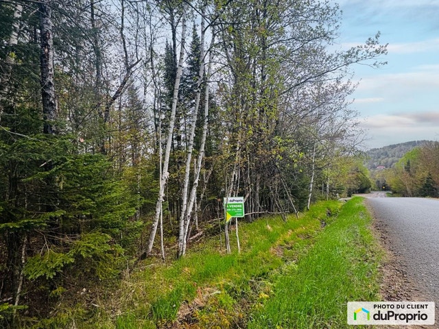 $119,000 - Residential Lot for sale in Lac-Superieur — photo 3