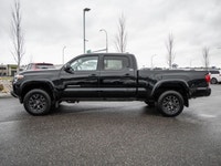 No Accidents - One Owner - 3M on Front - Heated Front Seats - Backup Camera A dependable daily drive... (image 5)