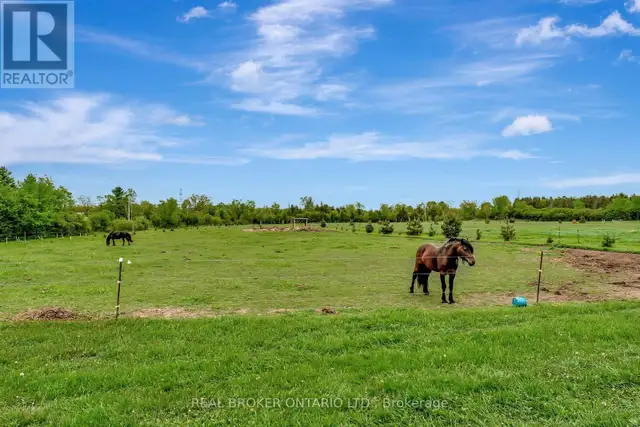 174 COUNTY 1 ROAD Elizabethtown-Kitley, Ontario in Land for Sale in Ottawa - Image 33