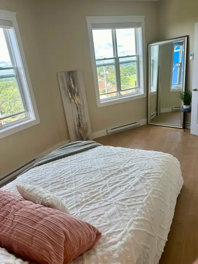 New Dog Friendly Concrete Building with FREE rent! in Long Term Rentals in Fredericton - Image 8