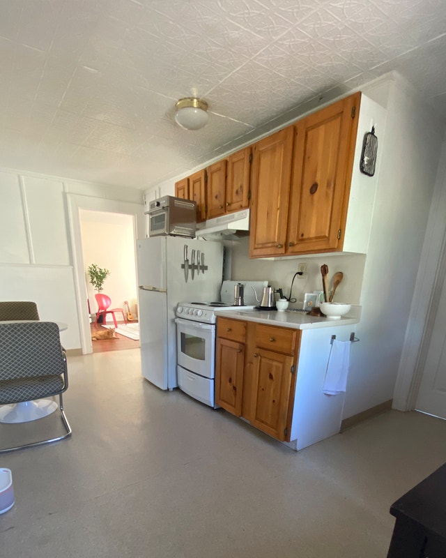 Downtown One Bedroom + Den Sept 1st Long Term Rentals