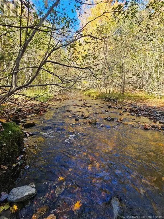 Lot Route 111 Bains Corner, New Brunswick in Land for Sale in Saint John - Image 7