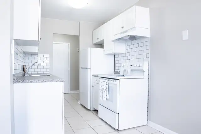 ALL INCLUSIVE - Silverbirch Apts 1BR in Waterloo in Long Term Rentals in Kitchener / Waterloo - Image 4