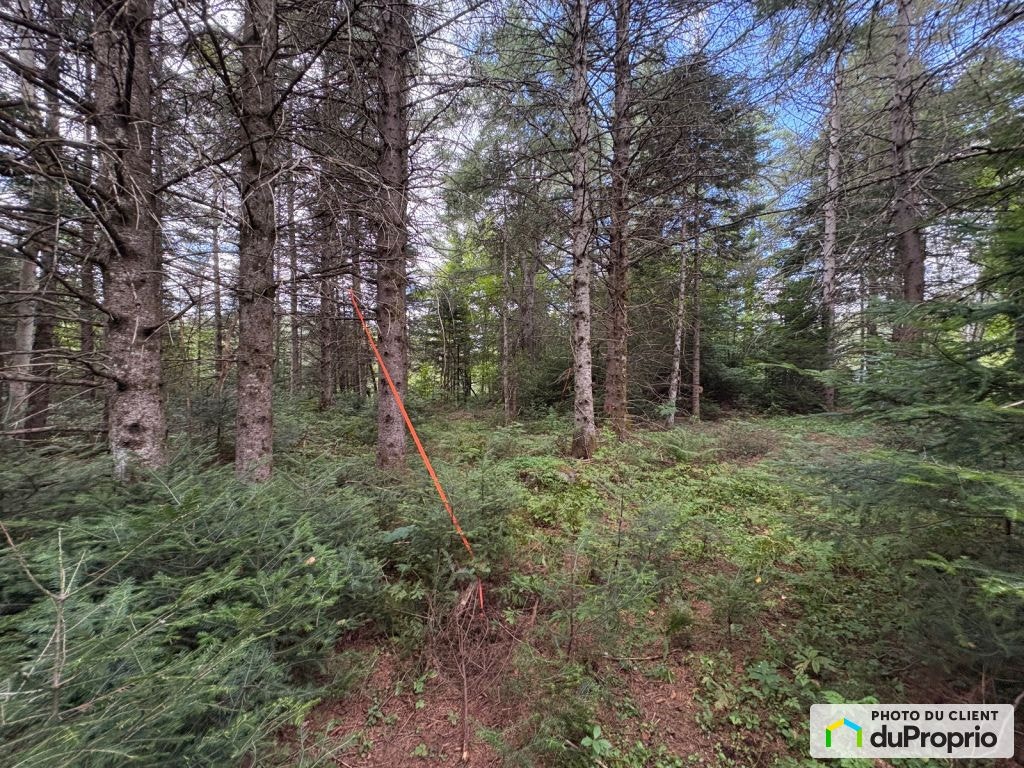 $110,000 - Price taxes not included - Residential Lot for sale — photo 2