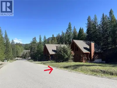 101 River Bend Lane offers the perfect opportunity to build your dream home or cottage retreat in a...