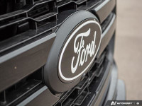 B&O Audio, Cooled Seats, Remote Start, Adaptive Cruise Control, Heated Steering Wheel, Running Board... (image 9)