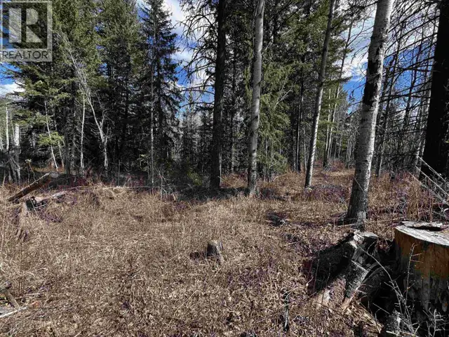 LOT 7 PARKER SUBDIVISION ROAD Fraser Lake, British Columbia in Land for Sale in Burns Lake - Image 4