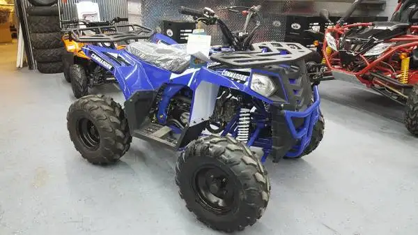 SUMMER SAVINGS ON APOLLO  125 cc ATV / (kids atv quad) in Snowmobiles Parts, Trailers & Accessories in Brandon - Image 6