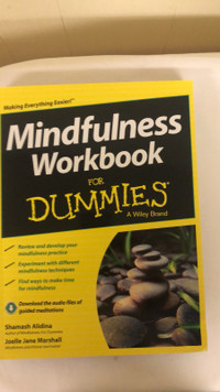 “MINDFULNESS FOR DUMMIES.” BRAND NEW IN BOX. Great price.